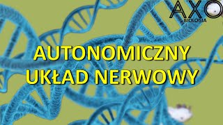 91 Autonomiczny układ nerwowy [upl. by Cherice245]