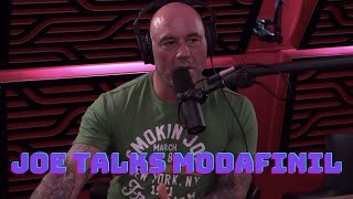 Joe Rogan Talks About Modafinil Provigil [upl. by Pettiford877]