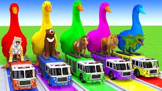 5 Giant Duck CartoonCowElephantTigerLionDinosaurPaint Wild Animals Crossing Fountain Animation [upl. by Oberg794]