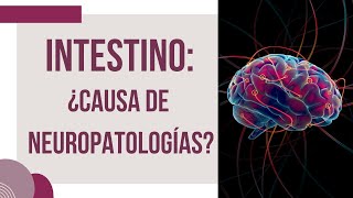 Neuropatologías ASOCIADAS a Problemas INTESTINALES ⚠️ [upl. by Coraline269]