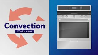 What Is A Convection Oven [upl. by Phaih17]