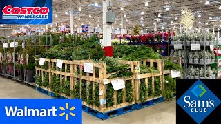 COSTCO SAMS CLUB WALMART CHRISTMAS DECORATIONS TREES DECOR SHOP WITH ME SHOPPING STORE WALK THROUGH [upl. by Hudis640]