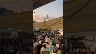 Khwaza Garib Nawaz Ajmer ytshorts tranding viralshorts live shortfeed todays [upl. by Thomas]