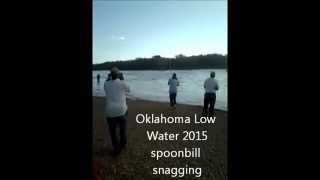 spoonbill fishing at Low Water Dam Oklahoma 2015 [upl. by Siuqcram978]