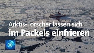 Spektakuläre ArktisExpedition der quotPolarsternquot [upl. by Aznarepse]