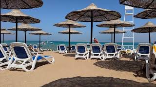 Ivy Cyrene Island Resort 🏝️ Sea College Dive Club 🤿 🐠 Sharm el Sheikh 🇪🇬 Egypt ☀️ April 2024 [upl. by Carr270]