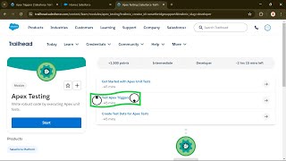 Test Apex Triggers  Apex Testing  Salesforce Supported Virtual Internship Program 2024 [upl. by Willdon]