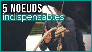 Équitation éthologique  5 nœuds que vous DEVRIEZ connaitre [upl. by Ranzini]