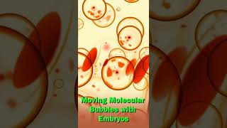 Moving Molecular Bubbles with Embryos  Best IVF Centre in Kanpur [upl. by Lhadnek]