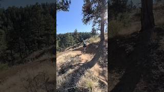 Descending the Santa Cruz Tallboy is always fun bikereview shorts mountainbike mtb xc [upl. by Betta]