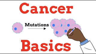 Introduction to Oncology Cancer Basics FOR BEGINNERS [upl. by Elok]