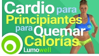 Cardio para Quemar Calorías en Casa  Rutina de Bajo Impacto para Adelgazar [upl. by Kelcie]