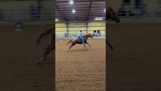 Luke and littlemanbinkley at Kelsey yates show horse barrelrace [upl. by Learsi]