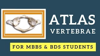 Anatomy of Atlas Vertebra I First Cervical vertebra I Vertebral Column Anatomy [upl. by Vlad]