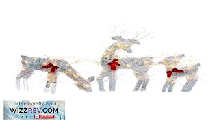 Set of 3 Lighted Christmas 2D Reindeers Outdoor Decorations PreLit Light Review [upl. by Mulry395]