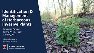 Identification and Management of Herbaceous Invasive Plants [upl. by Nehepts]