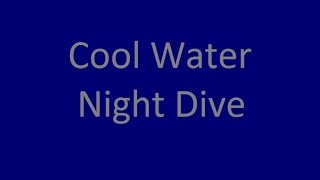 Cool Water Night Dive [upl. by Veda]