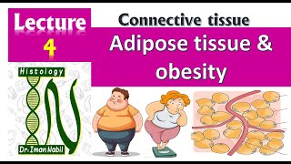 Adipose tissue and obesity [upl. by Deer851]