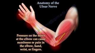 Anatomy Of The Ulnar Nerve  Everything You Need To Know  Dr Nabil Ebraheim [upl. by Bannister343]