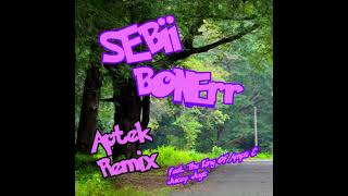 SEBii  BONErr Aptek Remix ft The King Of Amps amp Juicy Jugs [upl. by Autry]