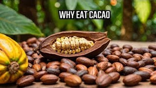 Amazing Health Benefits of Cacao Why You Should Indulge [upl. by Torhert]