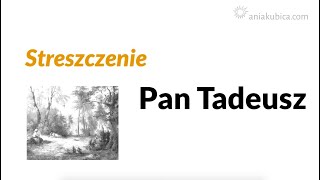 Pan Tadeusz  streszczenie [upl. by Ettenig780]