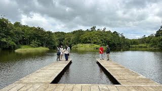 D Farm Sobrang ganda Hidden Paradise Privately owned Rainforest Lakes Coconut plantation [upl. by Ttocs]