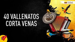 40 Vallenatos Corta Venas Videos Letra  Sentir Vallenato [upl. by Lavina462]