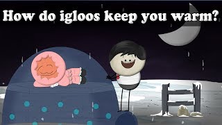 How do igloos keep you warm  aumsum kids science education children [upl. by Power717]