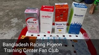 Racing pigeon training Pigeon treatments [upl. by Sitoiganap]