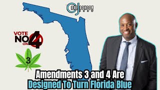 Radical Amendments 3 and 4 Are Designed To Turn Florida Blue [upl. by Hagerman]