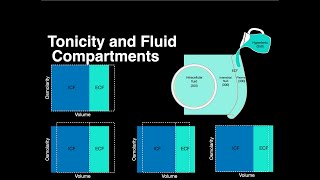 Tonicity and Fluid compartments anatomy osmolarity physiology solutions [upl. by Max]