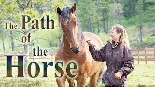 The Path of the Horse  Full Length documentary [upl. by Aridan362]