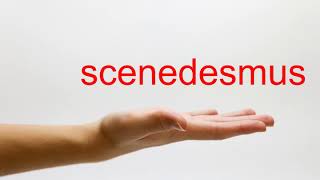 How to Pronounce scenedesmus  American English [upl. by Broder]