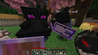 rekrap2 GAME  No Armor Hardcore Episode 6 Wither Death Part 2 [upl. by Akerley]