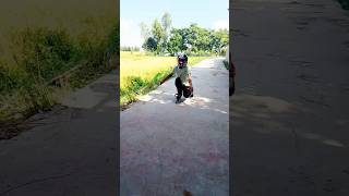 Unboxing crazyskatersayon dhitolhat skating skater unboxing subscribe [upl. by Annaej473]