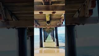 Hervey Bay QLD  Winter 2024  Urangan Pier Magic [upl. by Ivatts]