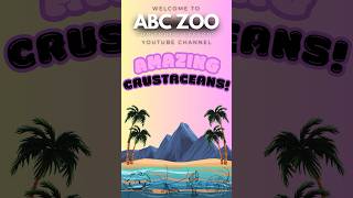 Unveiling the World of Crustaceans  ABC ZOO Fun Animal Lessons [upl. by Mariquilla396]