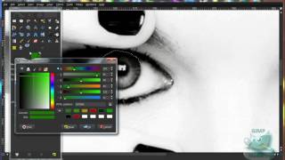 GIMP How To Color Eyes On A Black amp White Image [upl. by Ataner652]