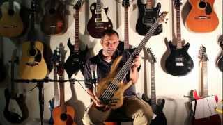 LTD B205 SM Bass Review w Corey Evitts covering Hysteria [upl. by Lantha]