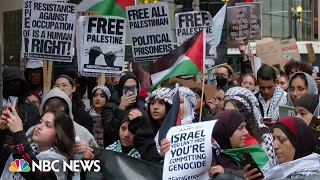 WATCH Noisy protest in Chicago in support of Palestinians [upl. by Aicilat819]