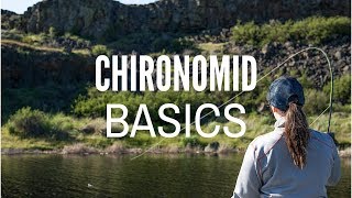 Chironomid Fly Fishing Basics [upl. by Nnylrac455]