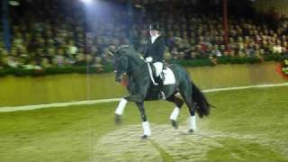 wwwreitschulesandbrinkde Fürstenball Stallion Show Schockemöhle 2011 [upl. by Ekusoyr883]