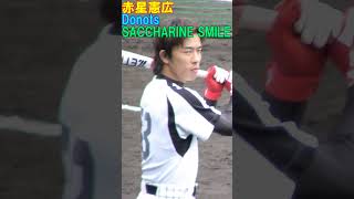 赤星憲広 登場曲② Donots SACCHARINE SMILE shorts [upl. by Duffie]