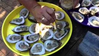 Oyster Rockefeller [upl. by Nerin]