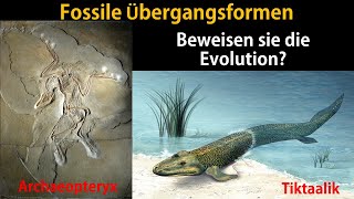 Fossilien als Übergangsformen Brückentiere [upl. by Gnouc]