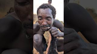 Unbelievable😲 breakfast Meal🤤 Hadzabe tribe boys enjoy eating Meals culture food hadzatribe [upl. by Godbeare]