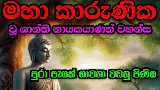 මහා කාරුණික වූ බුදු ගුණ සජ්ඣායනය පුරා පැයක් භාවනා වඩන්න  VenGalagodaatte Gnanasara Therobavana [upl. by Oivaf]