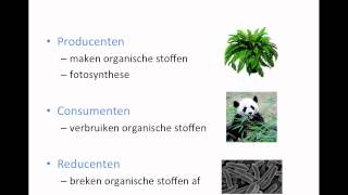 Ecologie  deel 1 [upl. by Huppert]