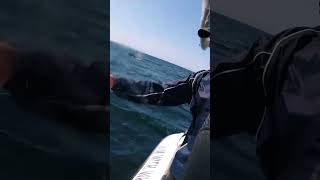 The most INSANE experience Three Humpback Whales SMASH DIVERS out of Water [upl. by Oirasor205]